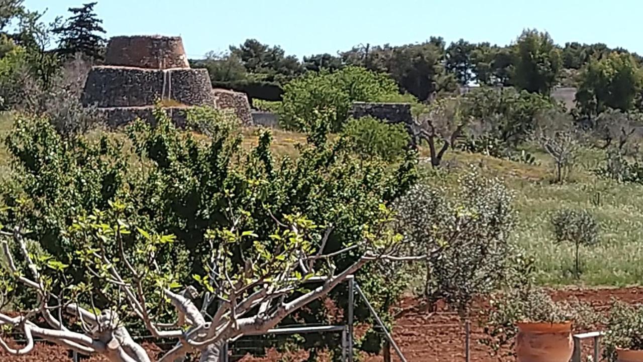 Villa Aurora Santa Maria al Bagno Exterior photo
